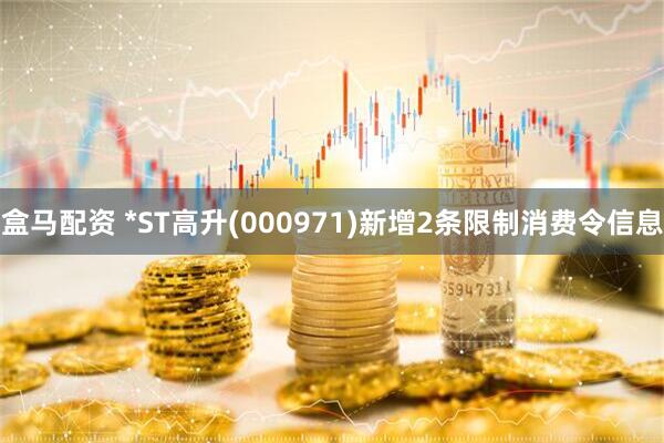 盒马配资 *ST高升(000971)新增2条限制消费令信息