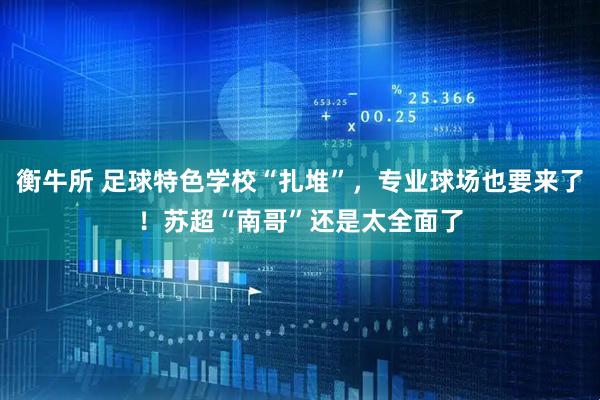 衡牛所 足球特色学校“扎堆”，专业球场也要来了！苏超“南哥”还是太全面了
